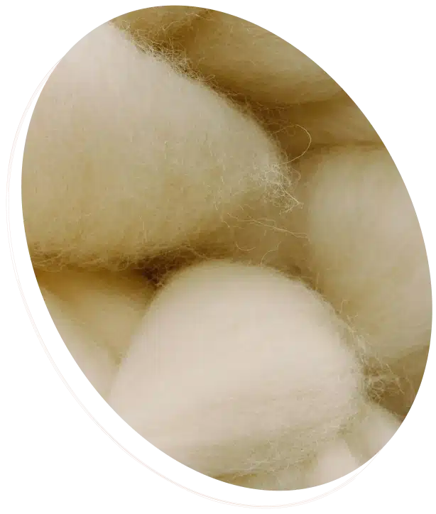 A close-up of fluffy white and beige wool or cotton balls