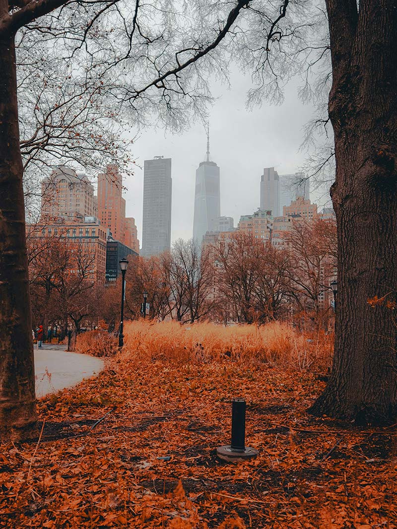 A park path with autumn leaves and a city skyline