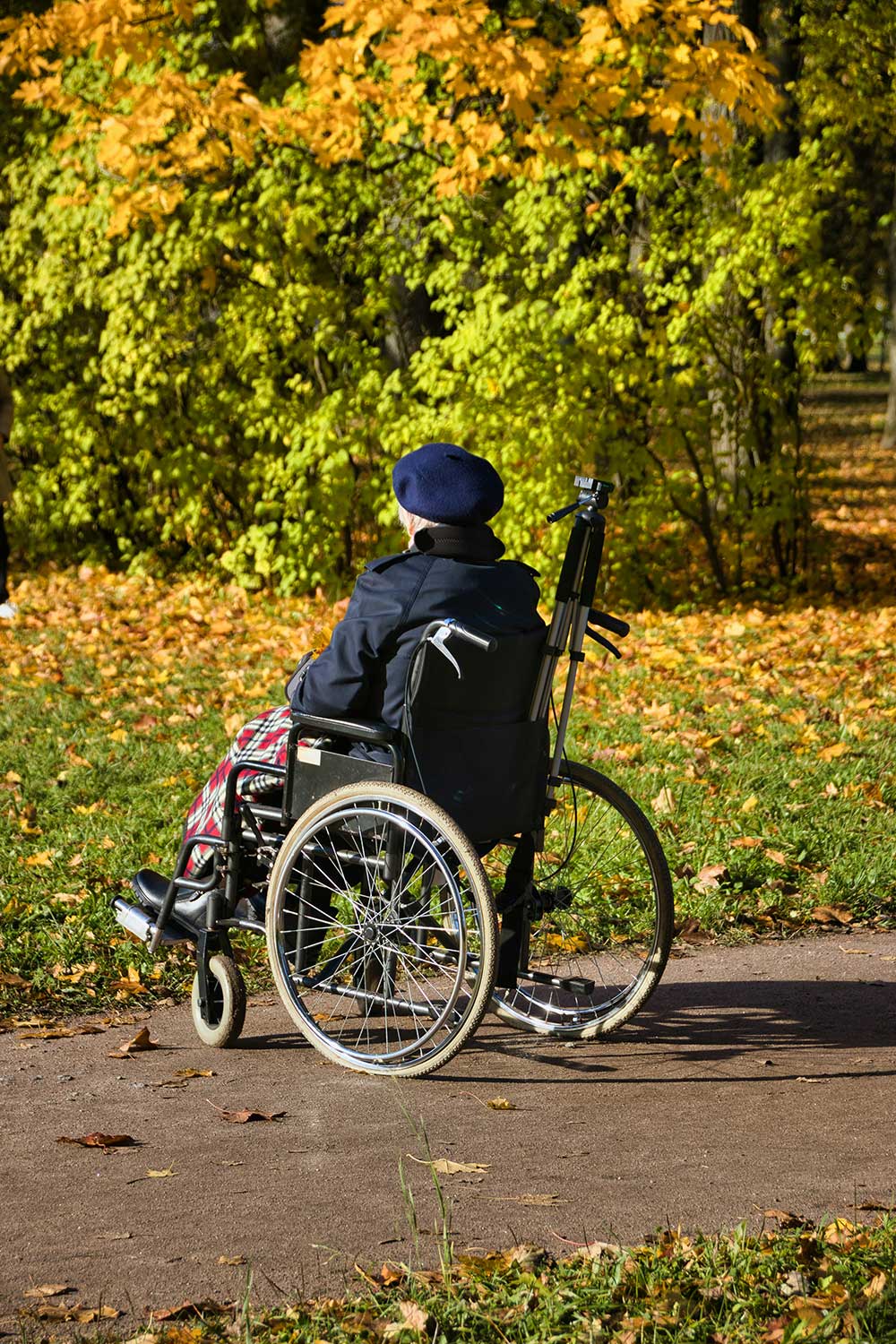 A person in a wheelchair is in a park with autumn leaves.